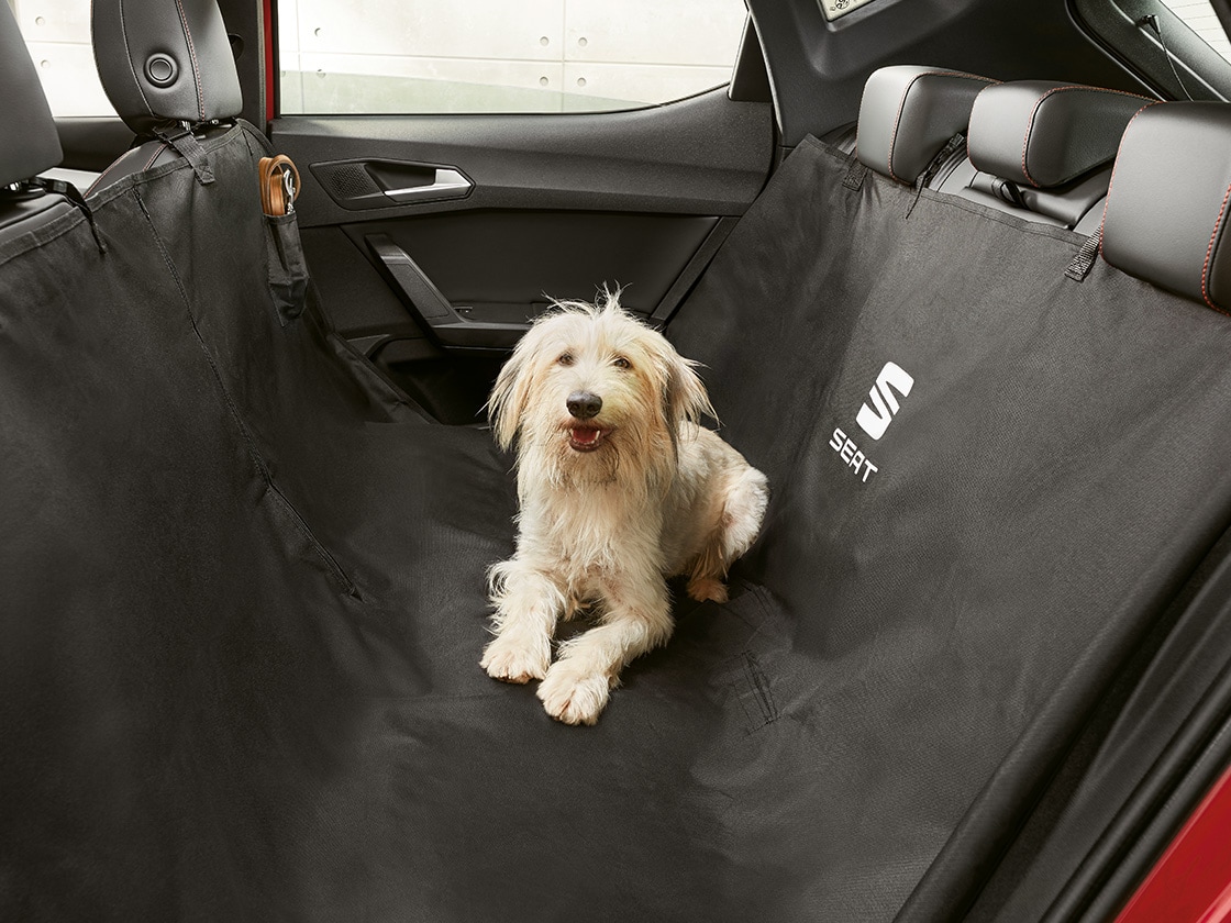 Cane comodamente seduto su una fodera protettiva del sedile all'interno della Seat Leon.