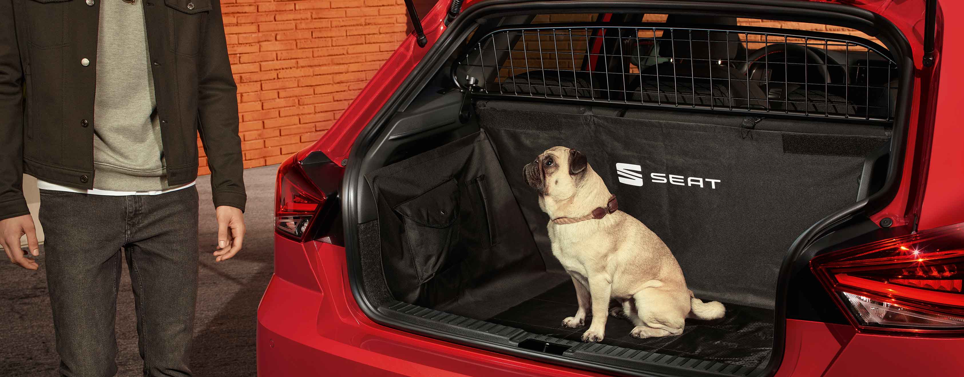 Cane seduto nel bagagliaio della SEAT Ibiza con griglia di separazione